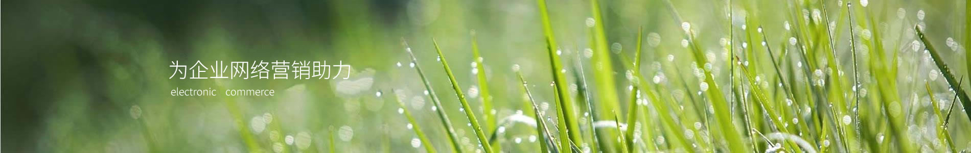 ӱİݺó޹˾